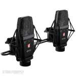 SE Electronics SE4100P Large-Diaphragm Condenser Microphone Matched Pair