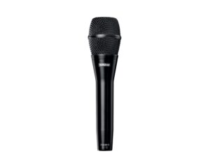 Shure KSM9HS Hypercardioid/Subcardioid Condenser Microphone