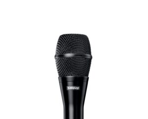 Shure KSM9HS Hypercardioid/Subcardioid Condenser Microphone