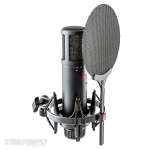 sE Electronics SE2200 Condenser Microphone