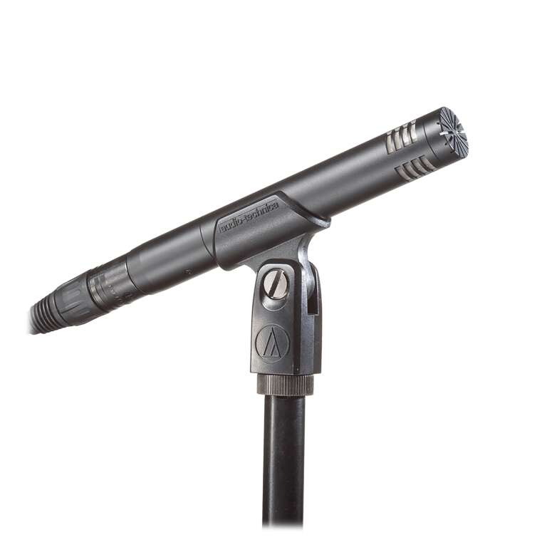 Audio Technica AT2031 Cardioid Condenser Microphone