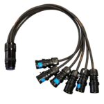 Elumen8 16A Male - Socapex 19-Pin Female 2.5mm Fan-In Cable