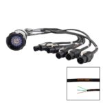 Elumen8 Socapex 19-Pin Male - powerCON TRUE1 1.5mm Fan-Out Cable