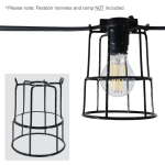 PCE Festoon Lamp Guard