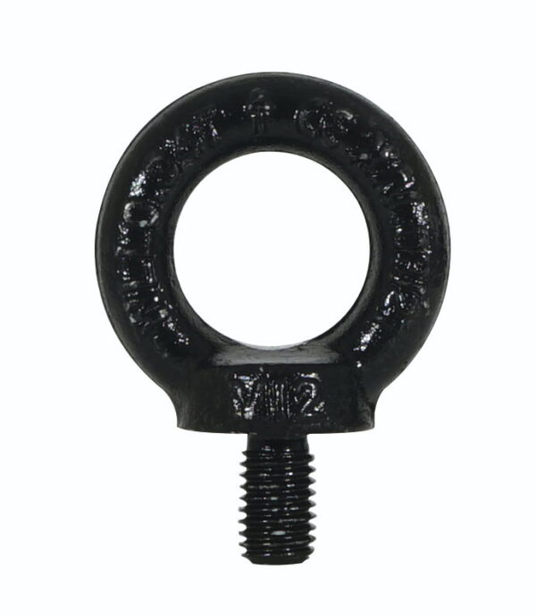 Elumen8 M12 DIN 580 Eyebolt, Black