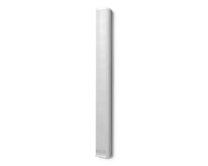 Biamp Desono COLS101 Extra-Slim Column 10×2″+HF 40W/100V IP66