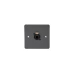 Elumen8 Cygnus WP2 etherCON Ethernet Wall Plate (ELUM260)