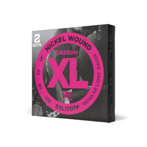 D'Addario EXL170TP Nickel Wound Bass Guitar Strings, Light, 45-100, 2 Sets, Long Scale