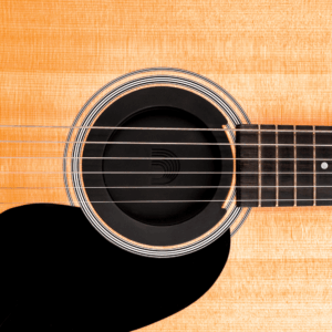 D'Addario PW-SH-01 Screeching Halt Sound Hole Cover